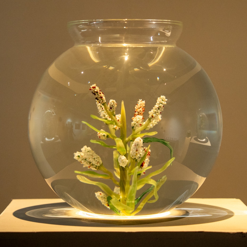 Current Exhibition